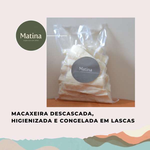 Macaxeira orgânica congelada em lascas